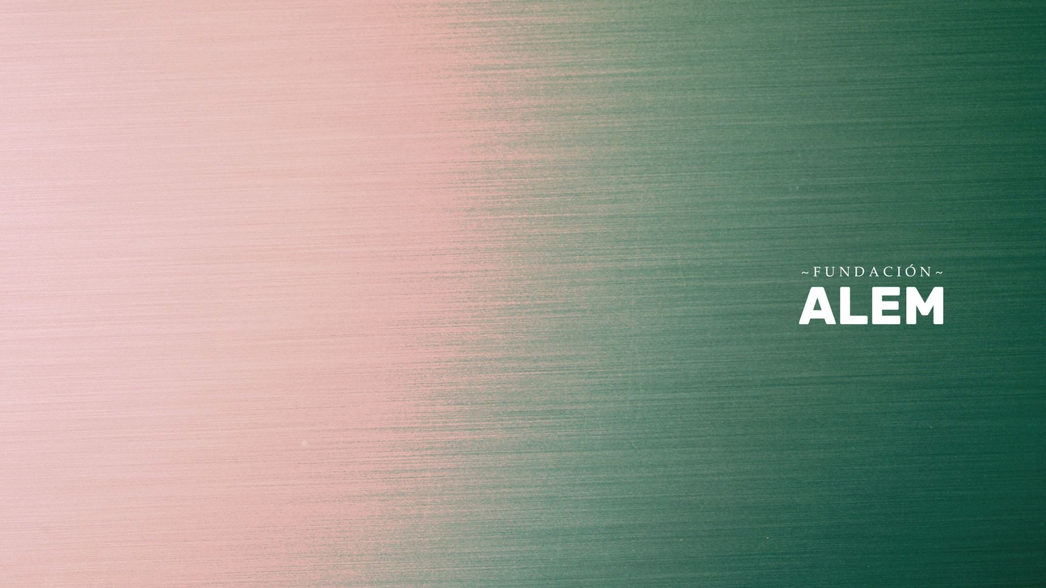 La Fundación Alem presenta el programa de Formación en Gestión Pública