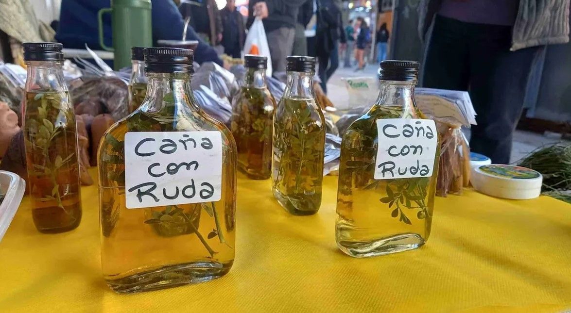 El 1 de agosto, los museos invitarán caña con ruda