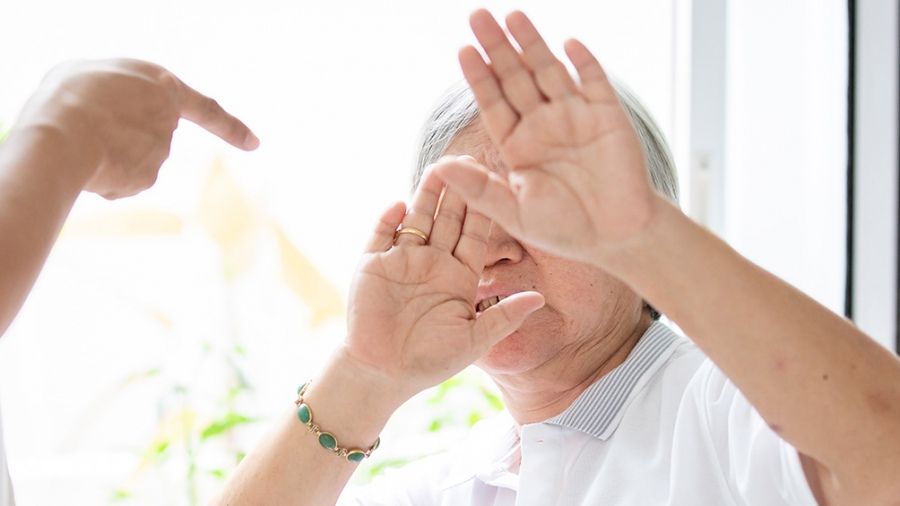 De 1746 denuncias de violencia familiar y de género, 201 fueron de personas mayores