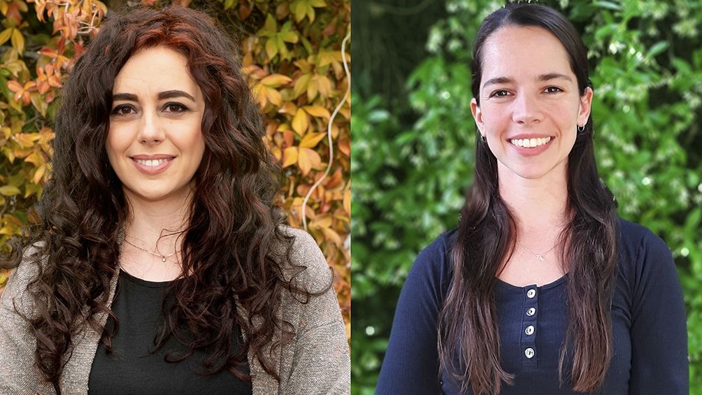 Descubren el impacto de enfermedades neurodegenerativas para generar neuronas