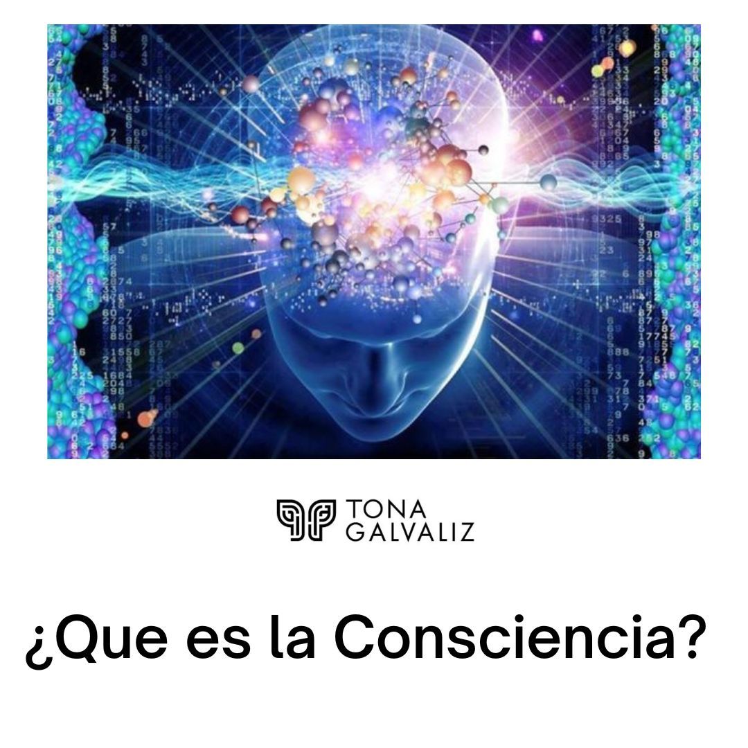 ¿Qué es la consciencia? por Tona Galvaliz