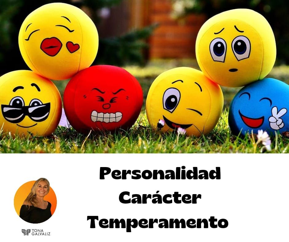 ”Diferencia entre personalidad, carácter y temperamento” por Tona Galvaliz