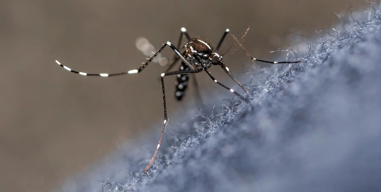 IosCor habilitó la cobertura del 50% para la compra de la vacuna contra el dengue