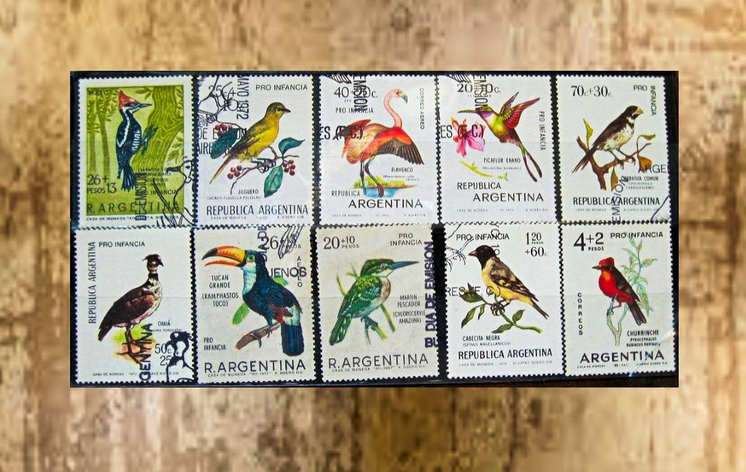 ”Ave Manía” de Alejandro Bovino Maciel por Laila E. Daitter