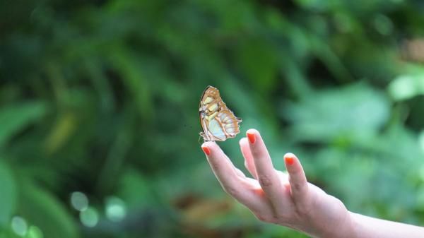 ”El desapego es la antítesis del apego” por Tona Galvaliz