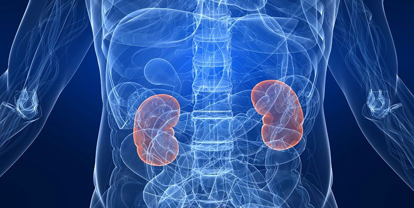 Más del 12 % de los adultos argentinos padecen algún grado de Enfermedad Renal Crónica