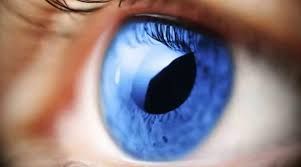 El “ladrón silencioso”: campaña nacional contra el Glaucoma