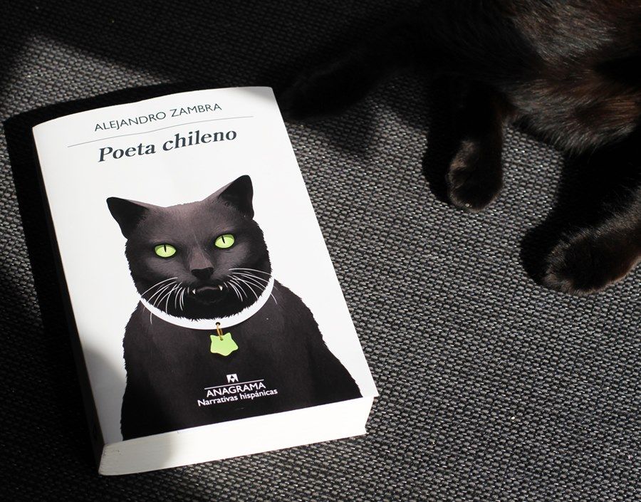 ”Poeta chileno” de Alejandro Zambra por Laila E. Daitter