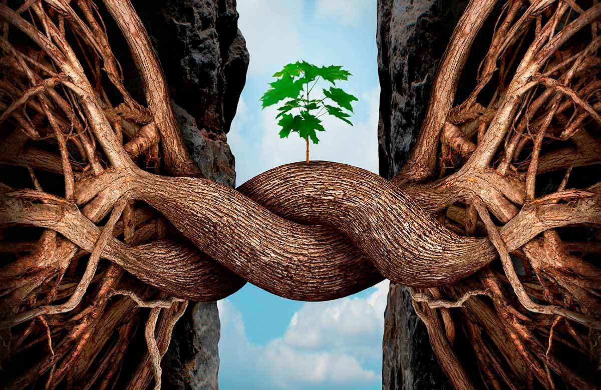 “Un nuevo comienzo: Resiliencia” por Tona Galvaliz